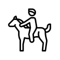 noun_Horse Riding_1932655 noun_Horse Riding_1932655